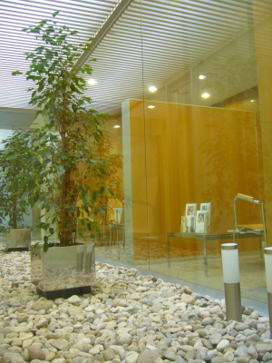 Hall Instituto Bernabeu Cartagena